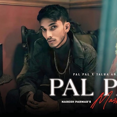 Sajjadalireal - Pal Pal x Jhol by sajjad ali