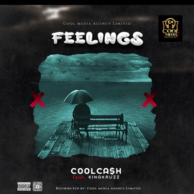 FEELINGS (feat. King Kruzz) - Single