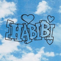 Habibi - Single - Shabibz