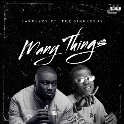 Many Things (feat. The singerboy) - Single