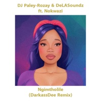 Ngimtholile (feat. Paley Rozay, DeLASoundz & Nokwazi) [DarkassDee Remix] - Single - DarkassDee