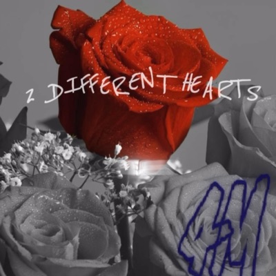 2 Different Hearts - Single