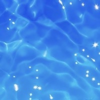 CMDJ - Single - Cult Member