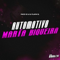 Automotivo Maria Biqueira - Single - DJ FLAVIN ZL, PSICO ZS & Só Hits Records