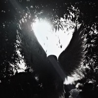 zoloft - Single - .youngfox & MAY DIE