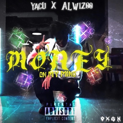 Money On My Mind (feat. ALwiz00) - Single