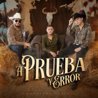 A Prueba Y Error - Single - Comunidad Musical