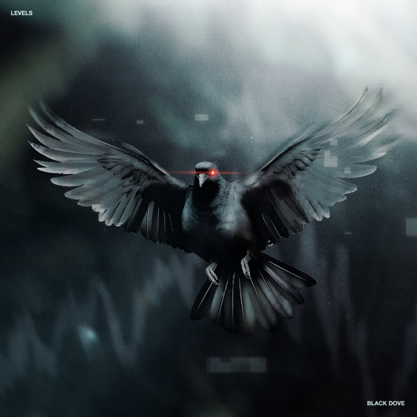 Black Dove
