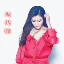 鸳鸯帕 (DJ默涵版) 孙艺琪