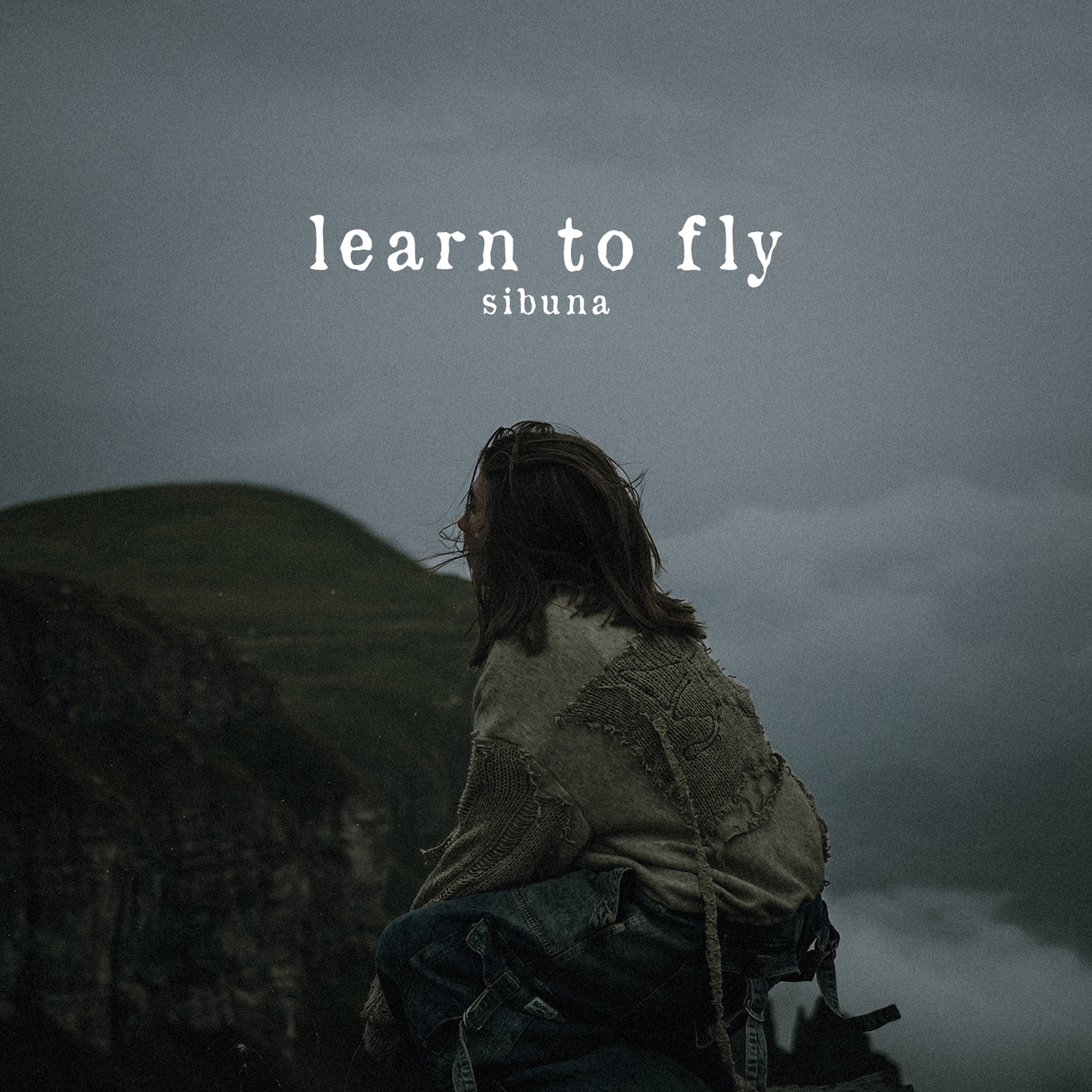 learn to fly - Single