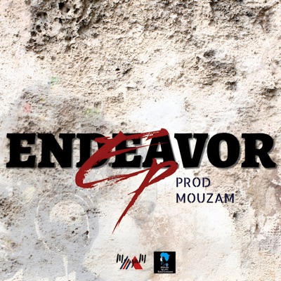 Endeavor (feat. Fako, MellowCent & Peekay Mzee) - Single