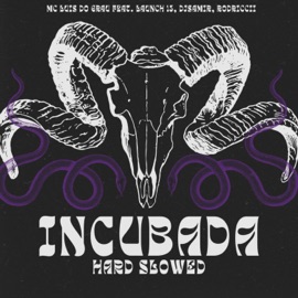 Incubada Hard Slowed (feat. launch 13, Djsamir & rodriccii) MC LUIS DO GRAU