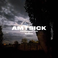 Am I Sick - Single - PEPPERMINT 6IX & Buskin
