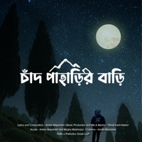 Chand Paharir Bari (feat. Tamal Kanti Halder & Megha <ukherjee) - Single - TRAVZIC