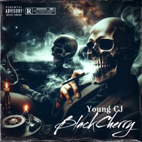 Black Cherry - Single - Young CJ