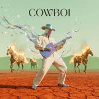 Hate Your Love - Single - Lennard & Cowboi