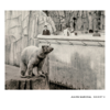 Insight XVII - Julien Marchal