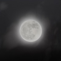 Safe (feat. Sofia Ilektra) - Single - Soft Static