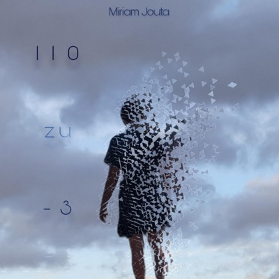 110 zu minus 3 - Single