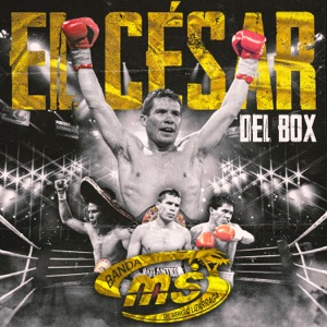 El César del Box - Single