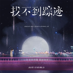 找不到踪迹 - Single