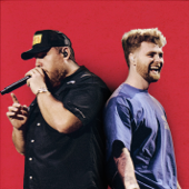 Ordinary (Live from Lollapalooza) song art