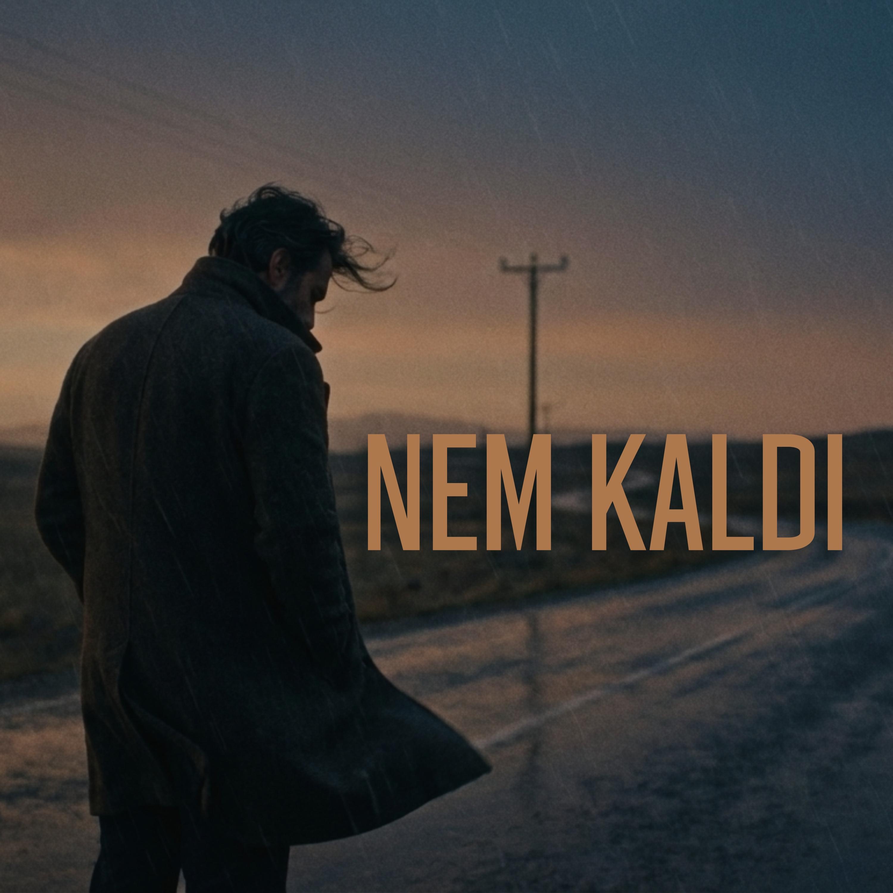 Nem Kaldı (Anadolu Rock Cover) - Single