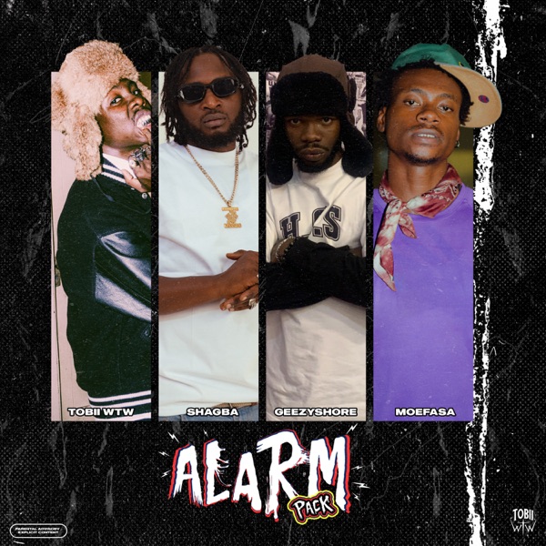 Alarm Pack