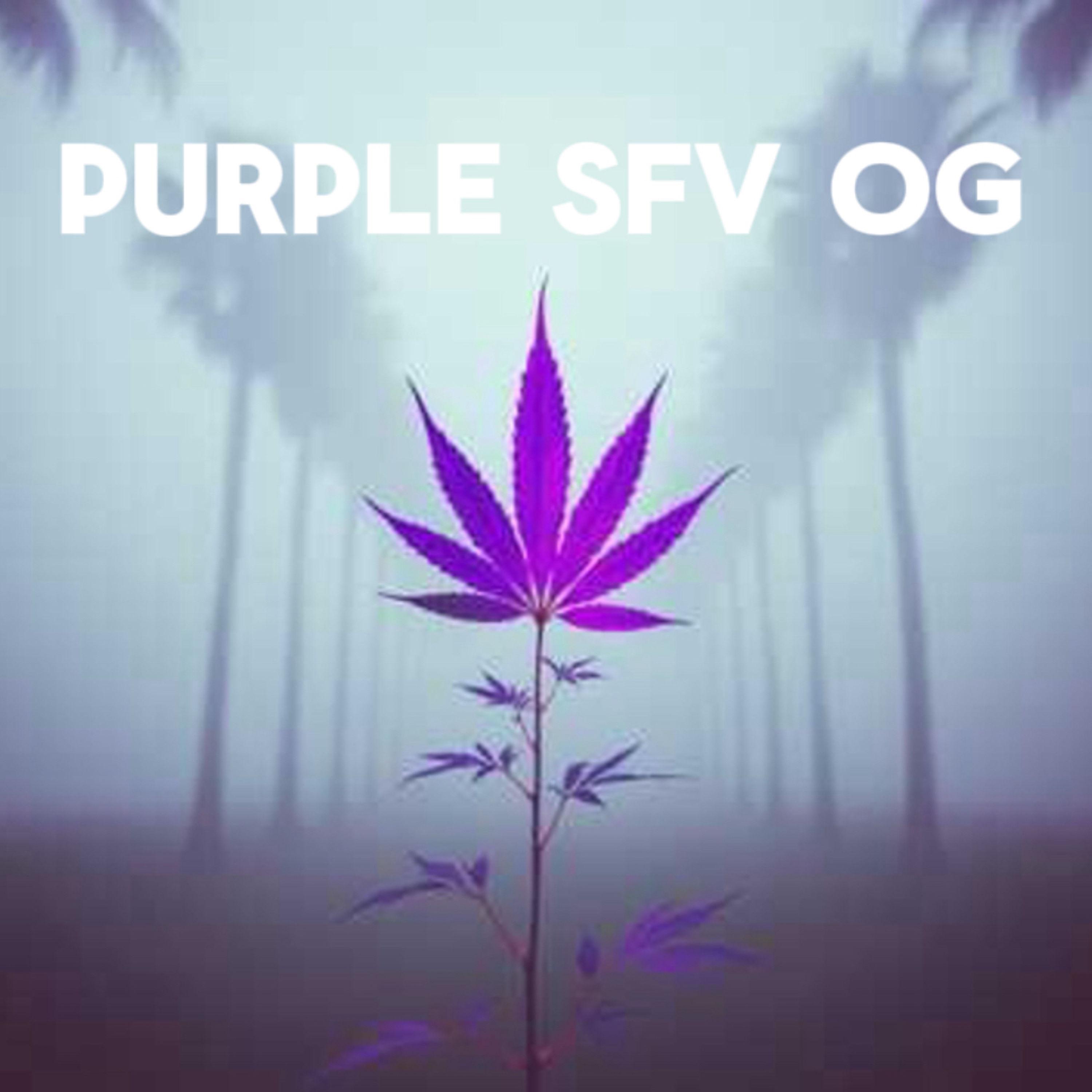 PURPLE SFV OG - Single