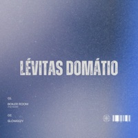 Levitas Domatio - Single - Tyga Bankz & DaBoy Kelo