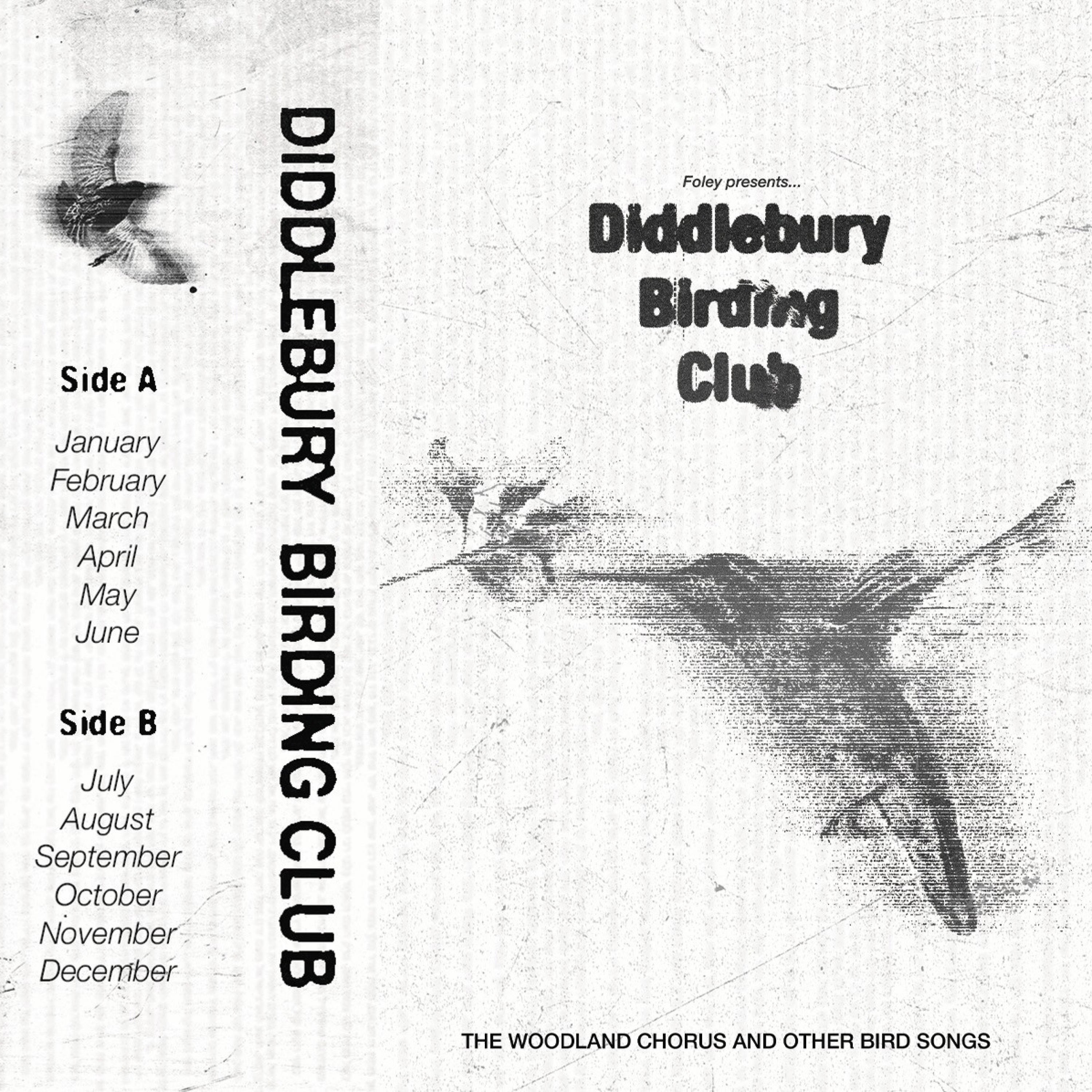 Diddlebury Birding Club: The woodland chorus and other bird songs