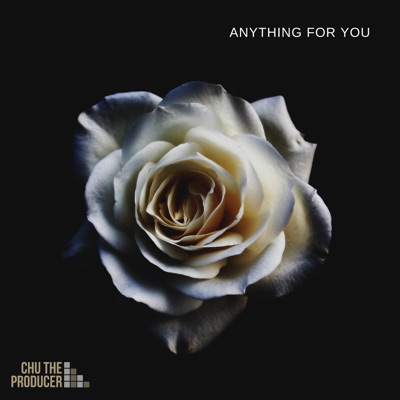 Anything For You - Single