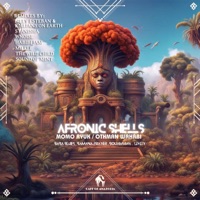 Afronic Shells Remixes - Momo Ryuk, Othman Wahabi & Cafe De Anatolia