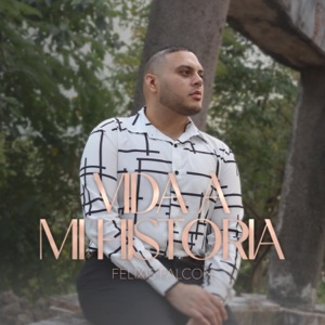 Vida a mi Historia - Single