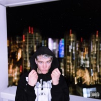 SPÁLENÉ MOSTY (feat. obey) - Single - DYLON