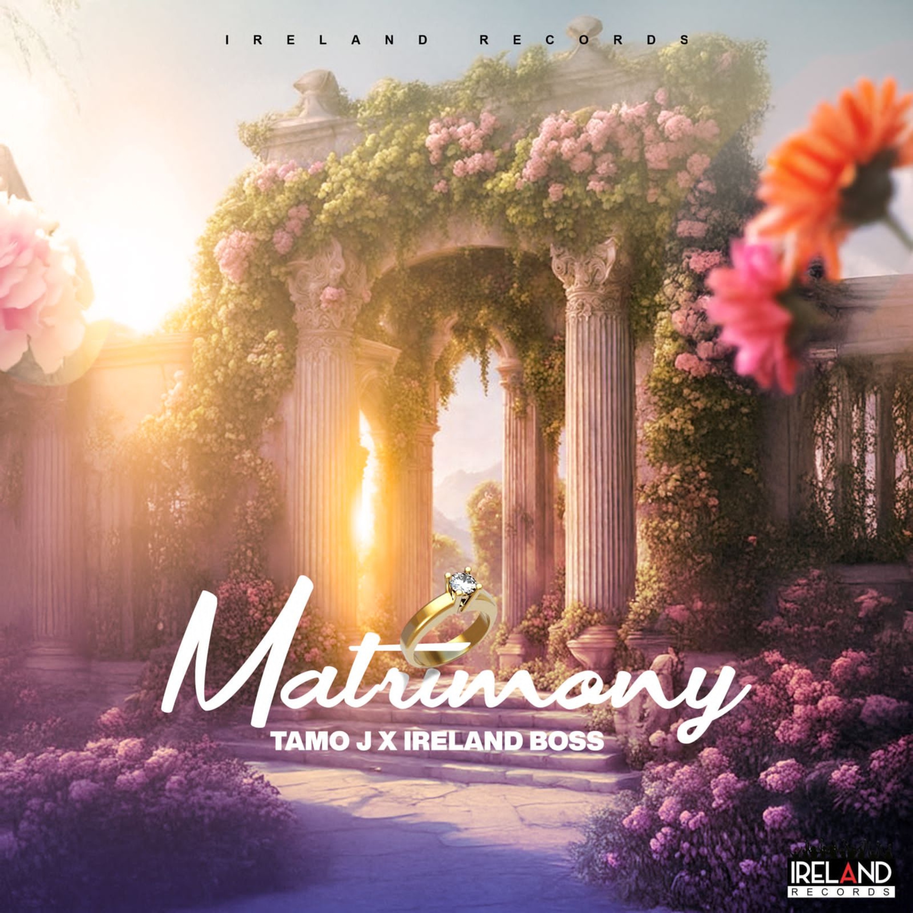 Matrimony - Single