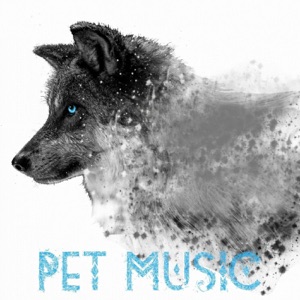Pet Music