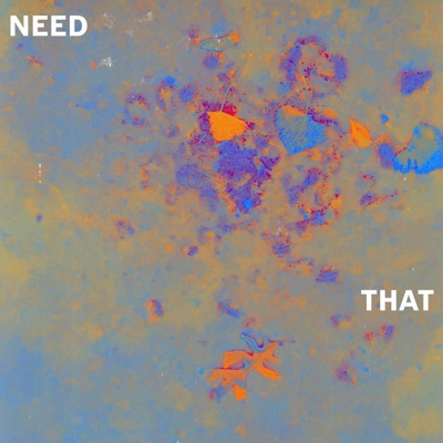 Need That (feat. Jake & Hiram Diez) - Single