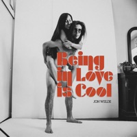 Being in Love Is Cool - Jon Wiilde