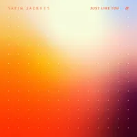 Just Like You — Satin Jackets