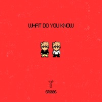What Do You Know - Single - Twiins