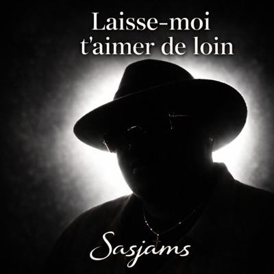 Laisse-moi t'aimer de loin - Single