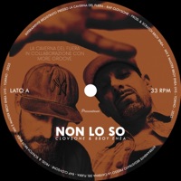 Non lo so (feat. ClovsOne, BBoy Enea & Smoker Monkeyz Crew) - Single - More Groove