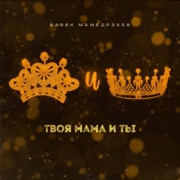 Твоя мама и ты - Single - Бабек Мамедрзаев