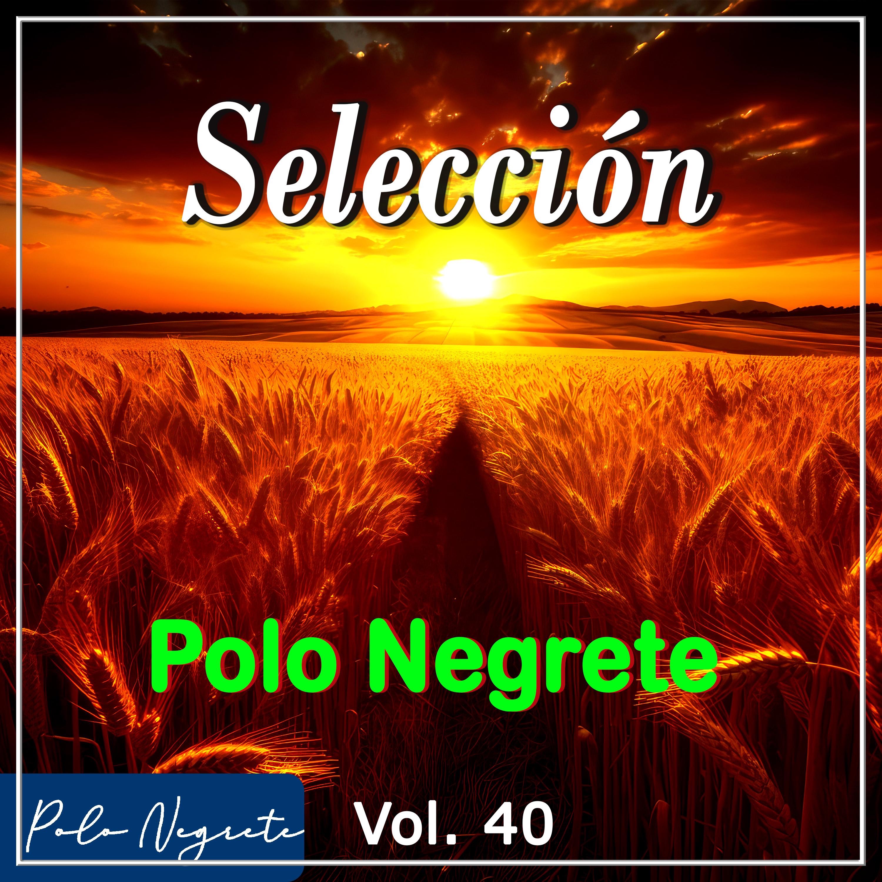 Selección Polo Negrete