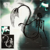 Сирена (Remix) - Single - White Punk & WHYK3NNY