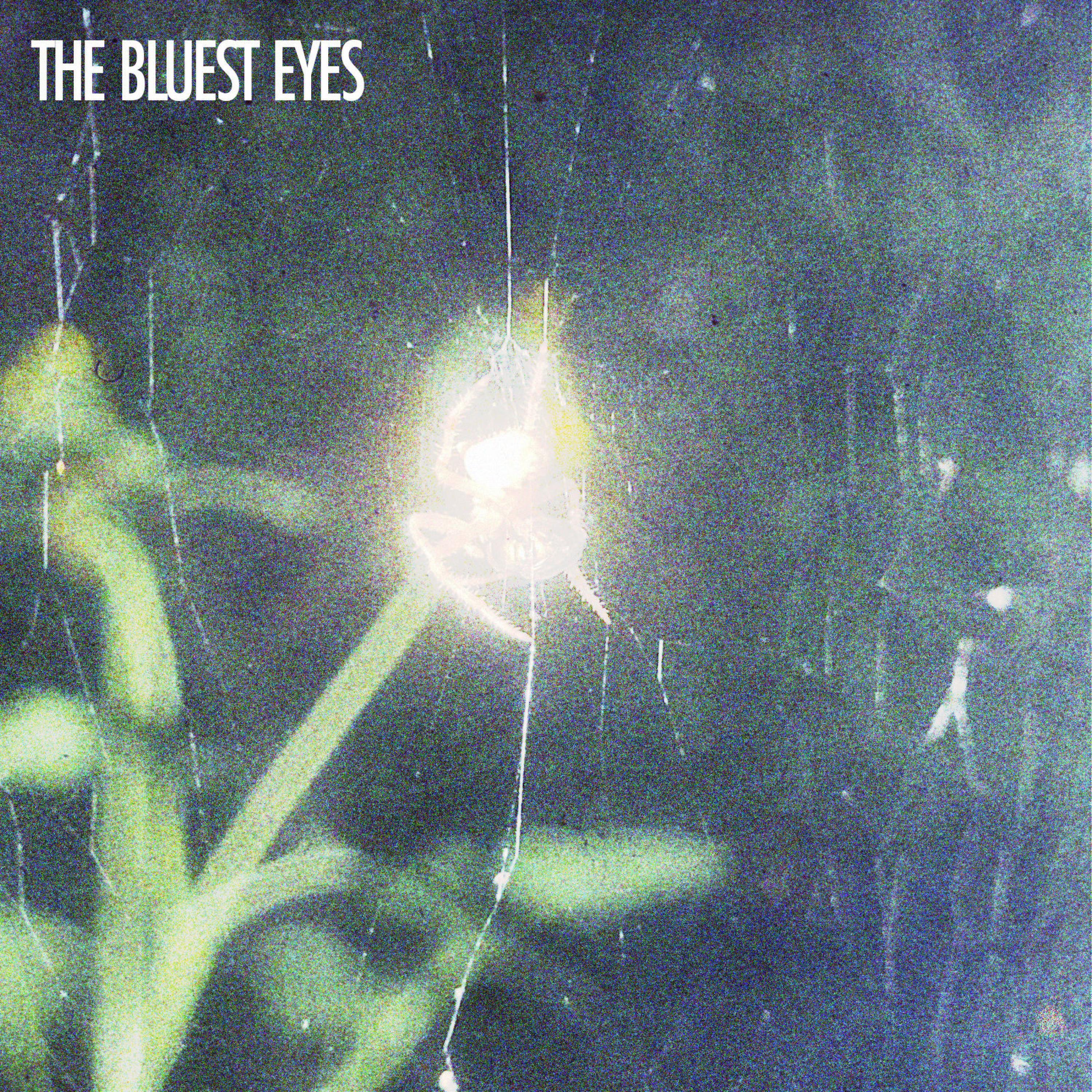 The Bluest Eyes - Single