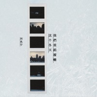 这个冬天我们重蹈覆辙 - Single - 刘兆宇