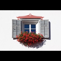 Window (feat. Koda B., Figure 8 & Janslammm) - Single - Synu