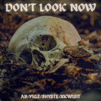 Don't Look Now (feat. Mista Pigz, Shyste Chronkyte & Xkwisit) - Single